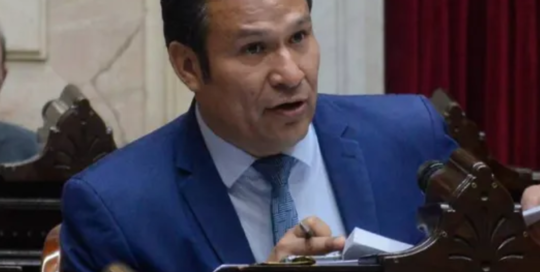 PUENTE POSTERGADO Y PROVINCIALISMO EN ALZA: OSVALDO LLANCAFILO ANALIZÓ LA EXPOSICIÓN DE FRANCO