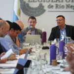 AVANZA EN RÍO NEGRO EL PROYECTO PARA CREAR UN CÓDIGO PROCESAL CONSTITUCIONAL