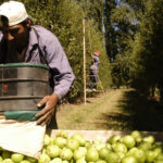 CRÍTICAS A LA FEDERACIÓN DE PRODUCTORES: “ES PARTE DEL ENTRAMADO POLÍTICO DE LA PROVINCIA”