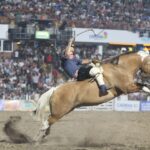 SE VIENE EL FESTIVAL DE JESÚS MARÍA: TODO LO QUE TENÉS QUE SABER