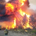 LA CGT ZONA ANDINA CUESTIONA AL GOBIERNO NACIONAL POR LOS INCENDIOS EN RÍO NEGRO