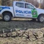 RÍO NEGRO CAMBIA SU LEY DE FAUNA TRAS 40 AÑOS: FIN A LA CAZA SIN CONTROL Y NUEVAS SANCIONES