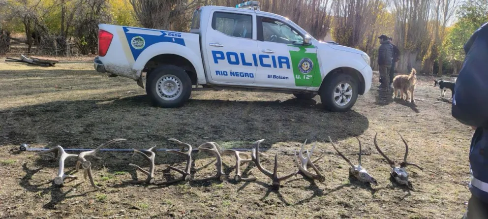 RÍO NEGRO CAMBIA SU LEY DE FAUNA TRAS 40 AÑOS: FIN A LA CAZA SIN CONTROL Y NUEVAS SANCIONES