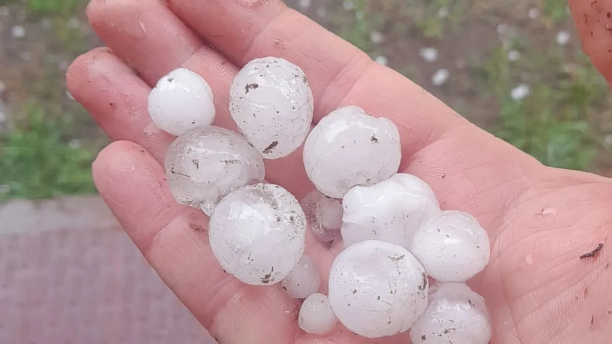 FUERTE GRANIZADA: PRODUCTORES DEL VALLE HABLAN DE PÉRDIDAS TOTALES EN ALGUNAS CHACRAS