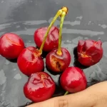 FUERTES TORMENTAS AFECTARON A LA FRUTICULTURA EN EL ALTO VALLE Y VALLE MEDIO