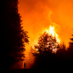 RÍO NEGRO REFUERZA LA LUCHA CONTRA EL FUEGO ANTE UN PANORAMA DE RIESGO EXTREMO