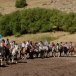 PRIORIDAD EN INFRAESTRUCTURA: MANZANO AMARGO SUSPENDE LA FIESTA DEL PINO