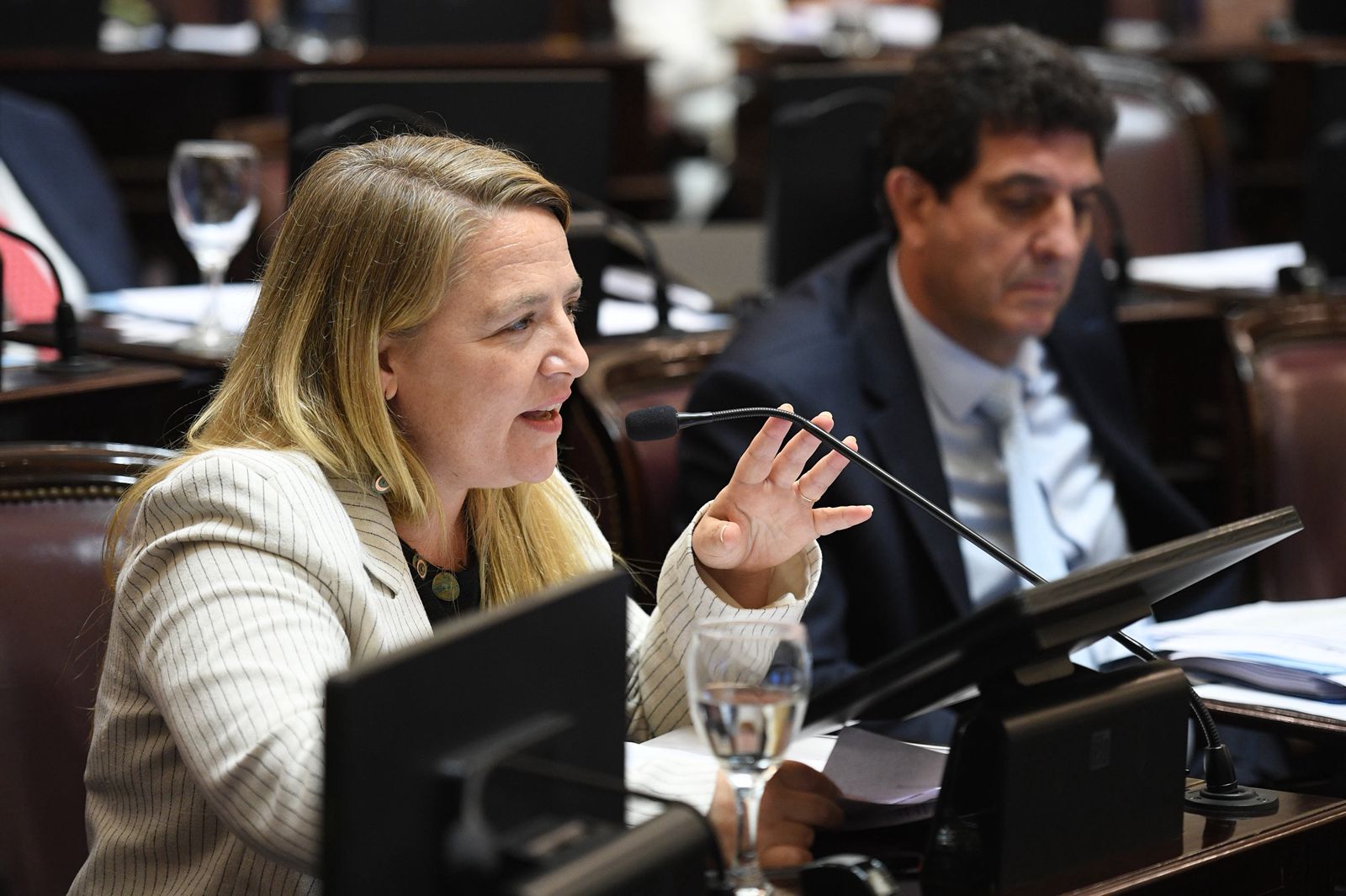 ANA MARKS: “LA REFORMA LABORAL ES UN RETROCESO ENORME Y UN SALTO AL SIGLO XIX”