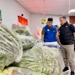 HISTÓRICO GOLPE AL NARCOTRÁFICO EN CHOS MALAL