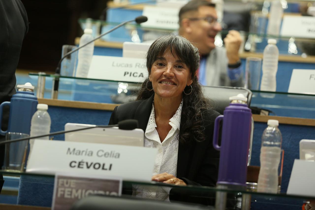 PIDEN AVANZAR CON LA “LEY CAZZU” PARA PROTEGER DERECHOS DE NIÑOS Y ADOLESCENTES