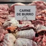 El burro como alternativa ganadera: la apuesta de un productor chubutense para repoblar la Patagonia