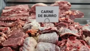 El burro como alternativa ganadera: la apuesta de un productor chubutense para repoblar la Patagonia