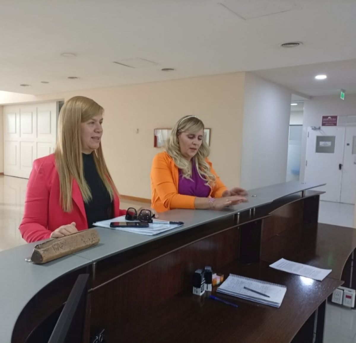 GLORIA RUIZ A FONDO: PIDIÓ VOLVER A LA VICEGOBERNACIÓN Y EXIGIÓ DERECHO A RÉPLICA A UN MEDIO