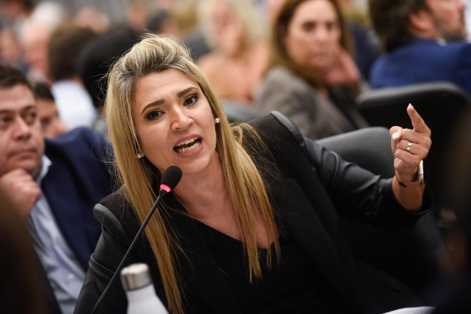 “DENTRO DE LA LEY TODO”: LA LIBERTAD AVANZA REPUDIÓ LOS DICHOS DE LA COMUNIDAD PAICIL ANTRIAO