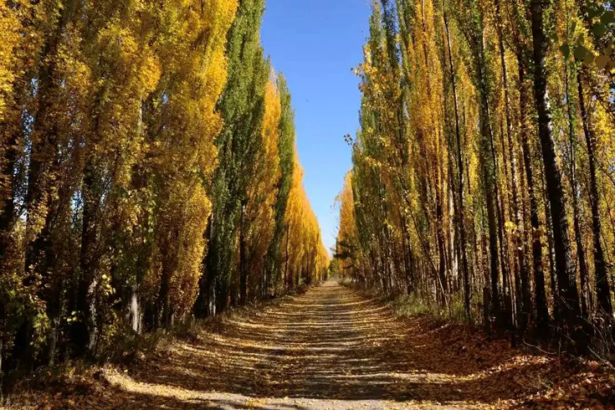 FERNÁNDEZ ORO: PRODUCTORES SE PLANTAN CONTRA UN POLÉMICO LOTEO EN RUTA 65