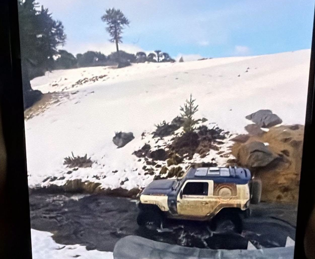 CAMIONETAS 4X4 IRRUMPEN EN ZONAS PROTEGIDAS DE VILLA PEHUENIA Y GENERAN DAÑOS AMBIENTALES