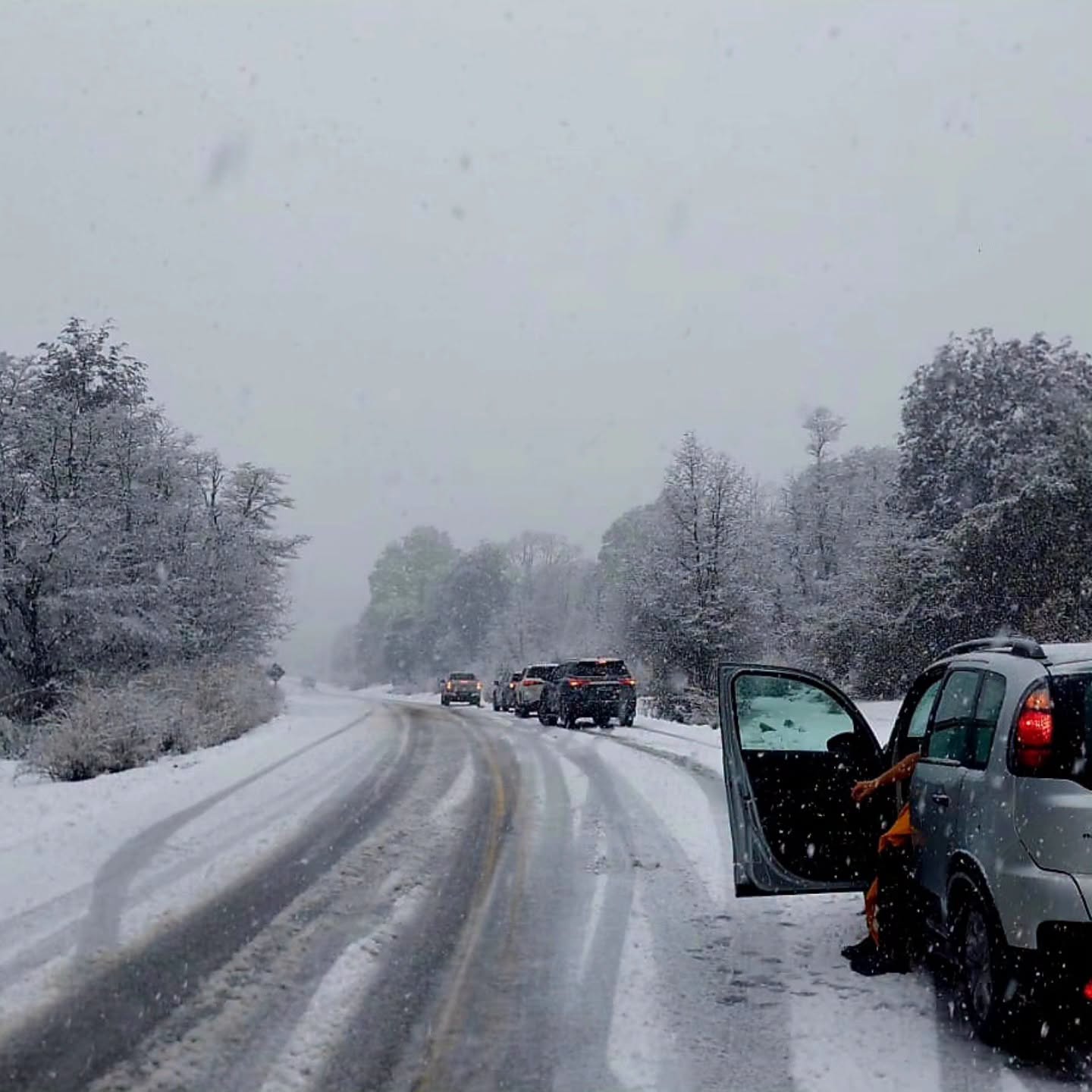 TEMPORAL DE NIEVE: CORTAN DE MANERA PREVENTIVA LA RUTA 40 EN SIETE LAGOS