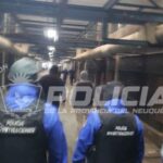 CAYÓ BANDA QUE OPERABA DESDE EL PENAL DE VIEDMA CON EL “CUENTO DE LA GRÚA”