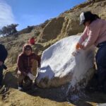 INICIARON EL RESCATE DE LOS FÓSILES DE UN GLIPTODONTE