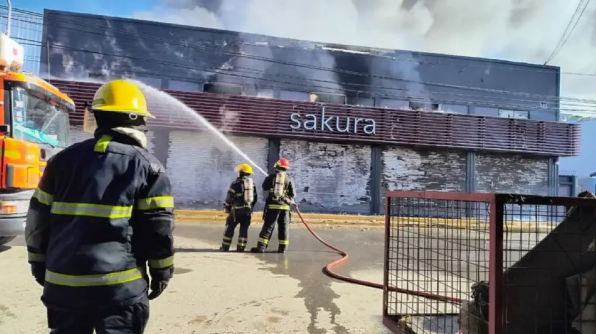 EL ESCANEO LÁSER CONFIRMÓ RIESGO DE DERRUMBE EN EL DEPÓSITO DE SAKURA