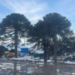 TRAGEDIA EN PINO HACHADO: MUERE UN CAMIONERO BRASELEÑO MIENTRAS ESPERABA PARA CRUZAR A CHILE