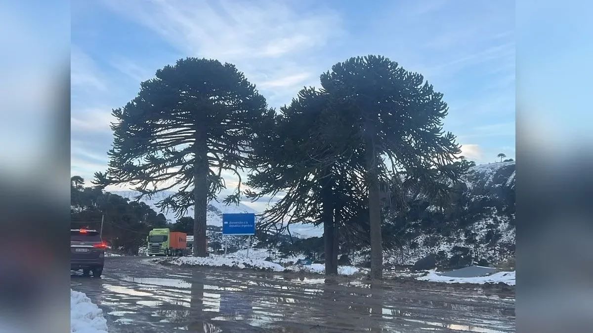 TRAGEDIA EN PINO HACHADO: MUERE UN CAMIONERO BRASELEÑO MIENTRAS ESPERABA PARA CRUZAR A CHILE