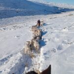 CRIANCEROS DE ZAPALA PIDEN LA DECLARACIÓN DE EMERGENCIA POR EL IMPACTO DE LA NIEVE