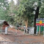 LA CORTE SUPREMA ORDENA RESTITUIR EL PREDIO DEL LAGO CORRENTOSO A VILLA LA ANGOSTURA
