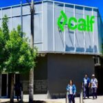 HUAWEI EN NEUQUÉN: CALF, FIGUEROA Y GAIDO EN LA MIRA