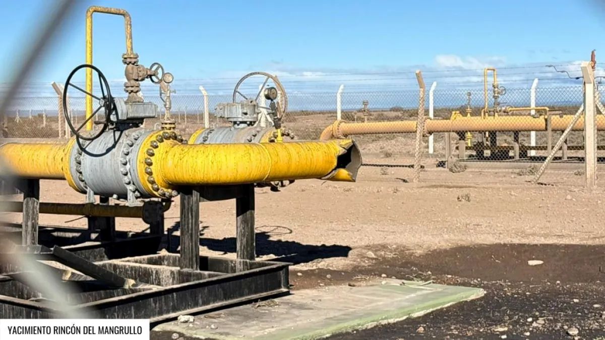 AVANZA LA CAUSA POR LA MUERTE DE DOS OPERARIOS: INSPECCIONARON LA PLANTA DE YPF EN AÑELO