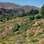 NEUQUÉN IMPULSARÁ UNA LEY PARA PROHIBIR LA VENTA DE TIERRAS FISCALES A EXTRANJEROS