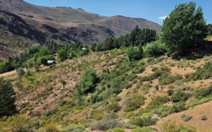 NEUQUÉN IMPULSARÁ UNA LEY PARA PROHIBIR LA VENTA DE TIERRAS FISCALES A EXTRANJEROS