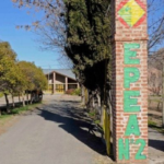 VIOLENCIA ESCOLAR EN PLOTTIER: DOS ALUMNAS SE PELEARON A PIÑAS EN LA EPEA N° 2